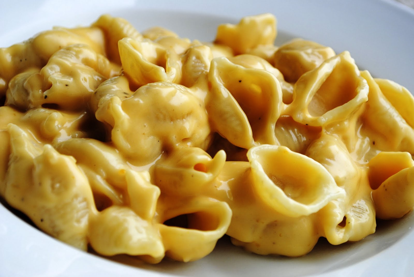 pasta shells and cheese