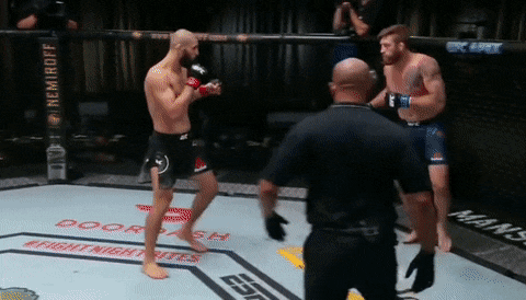 animation : Khamzat Chimaev knocking out Gerald Meerschaert at UFC Fight Night