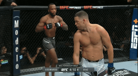 animation : Nate Diaz attacking Leon Edwards during their UFC 263 bout