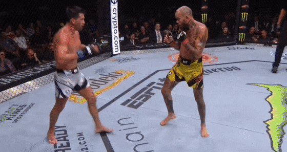 animation : Marlon Vera knocking out Dominick Cruz at UFC Fight Night