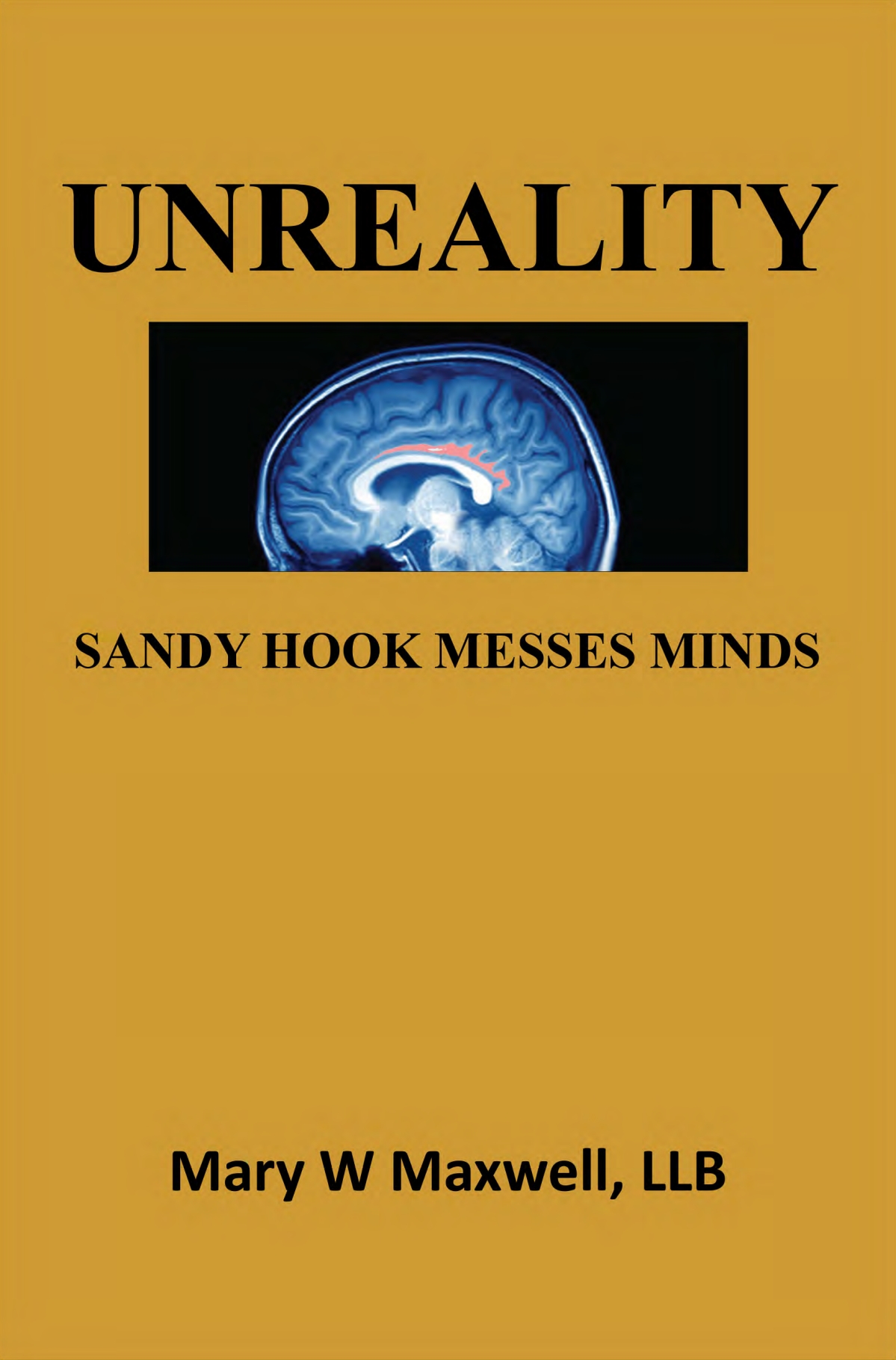 Unreality [ Sandy Hook Messes Minds ] ( book ) ... Mary W Maxwell
