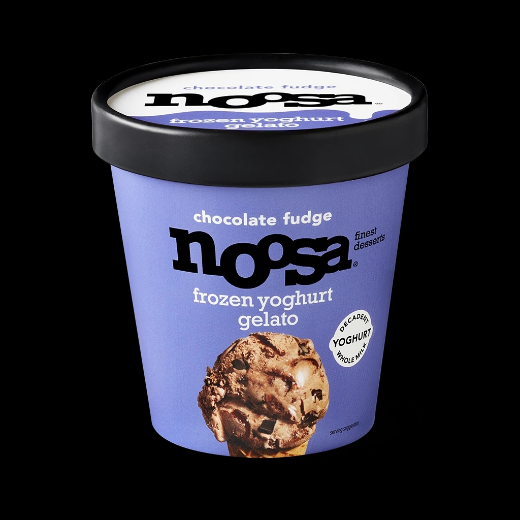 Noosa Frozen Yoghurt Gelato : Chocolate Fudge