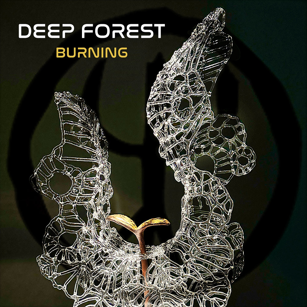 audio review : Burning ( album ) ... Deep Forest