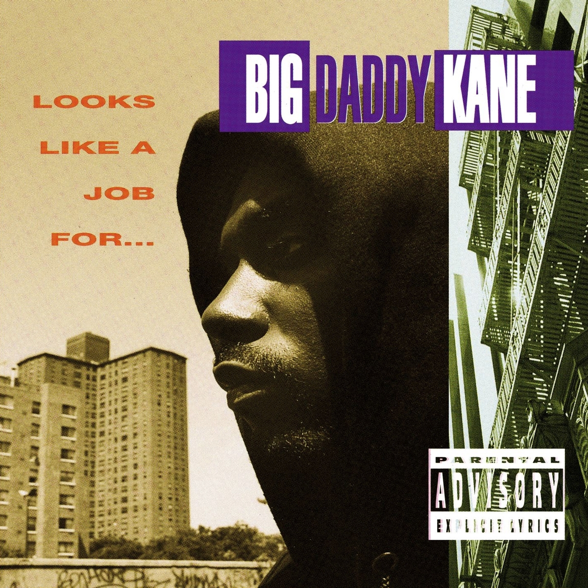 audio review : Looks Like A Job For ( album ) ... Big Daddy Kane