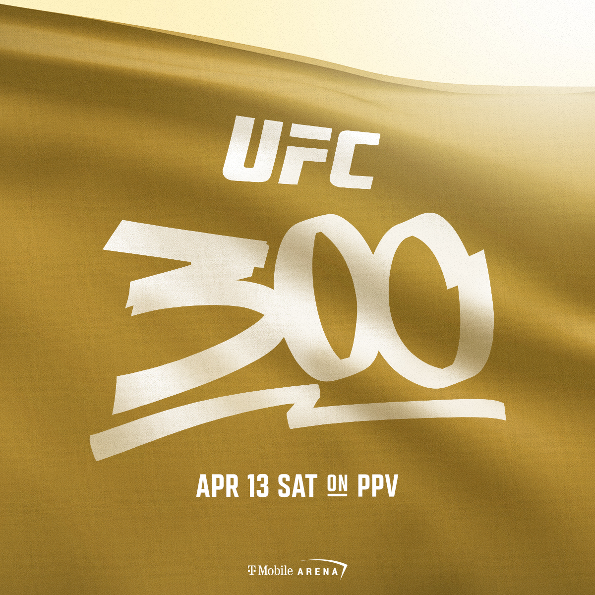 promo : UFC 300