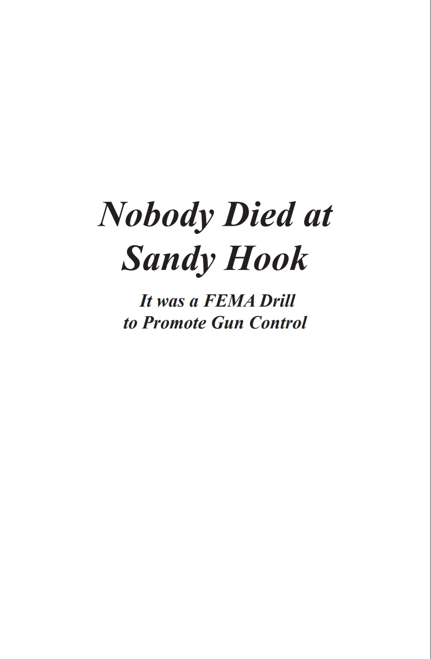 a book about the Sandy Hook school massacre : Nobody Died At Sandy Hook