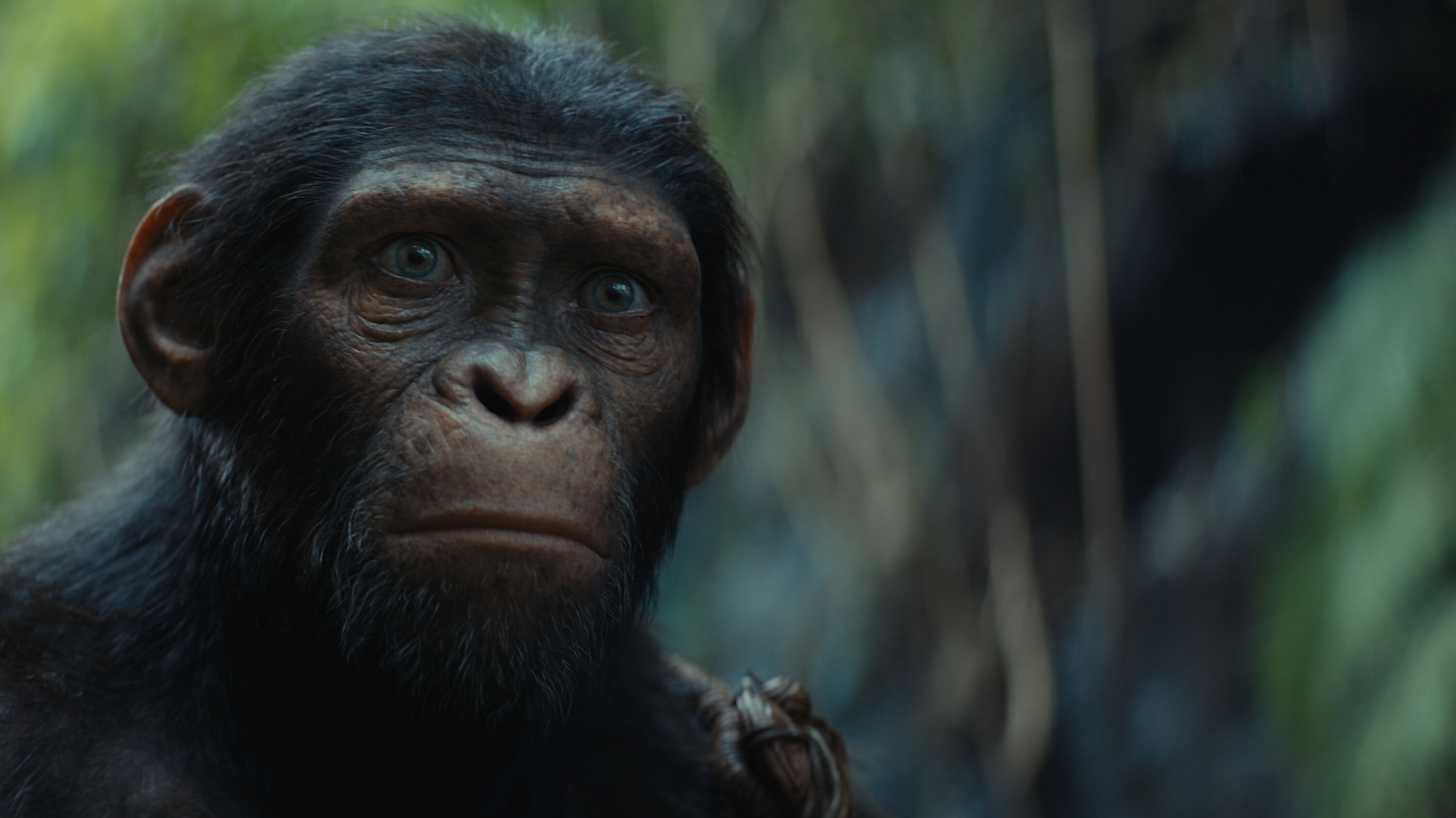 video review : Kingdom Of The Planet Of The Apes