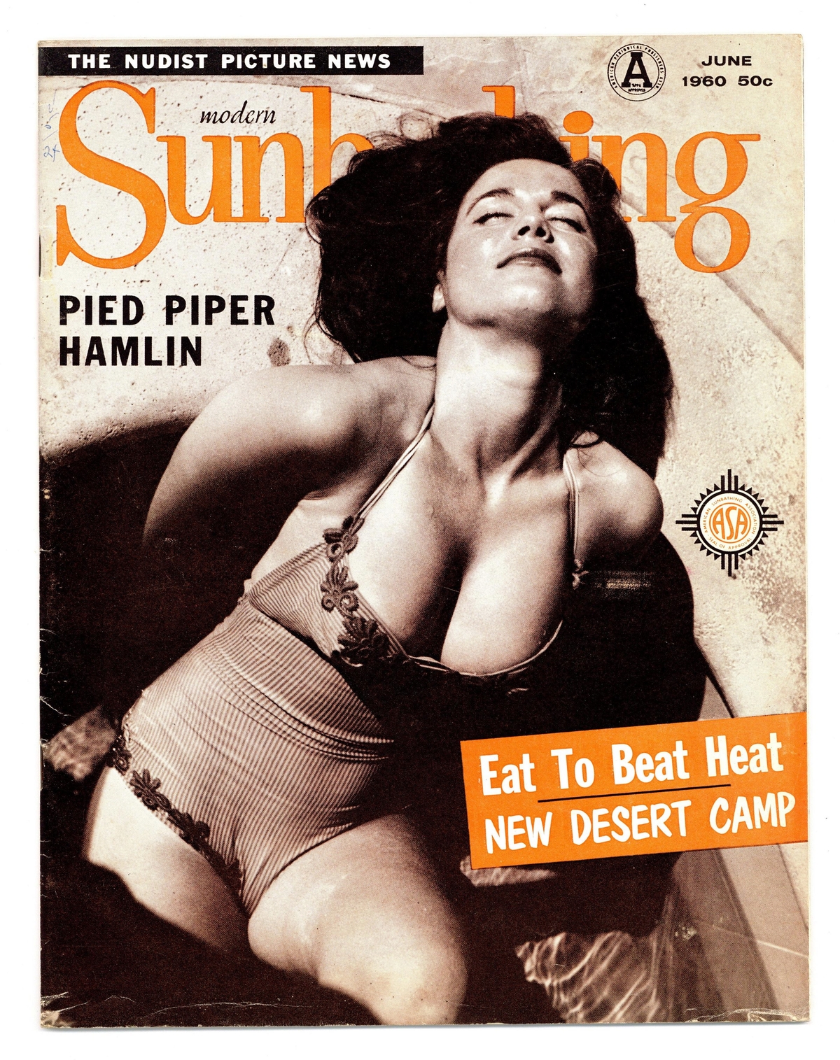 an issue of Modern Sunbathing