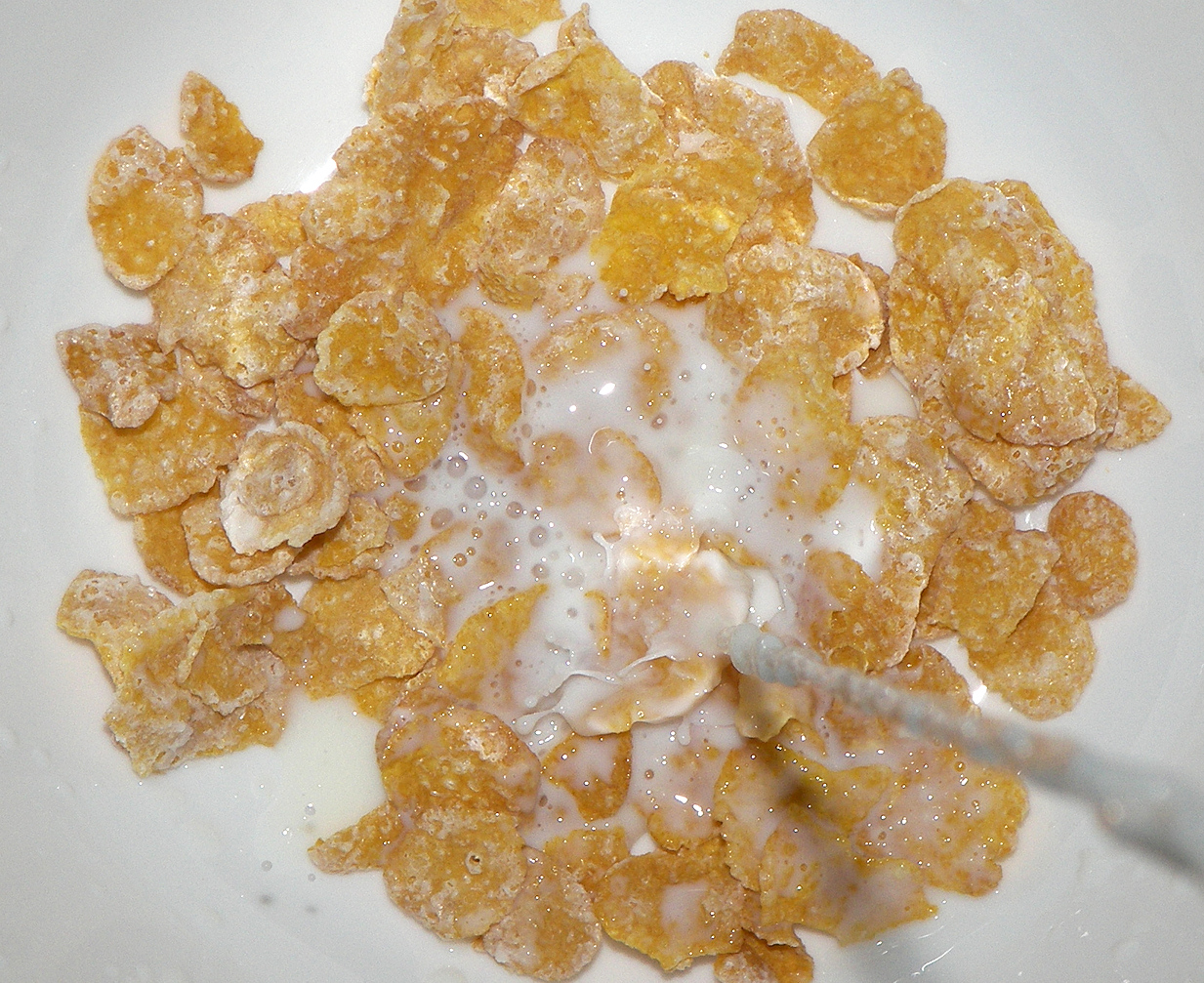 Frosted Flakes with milk