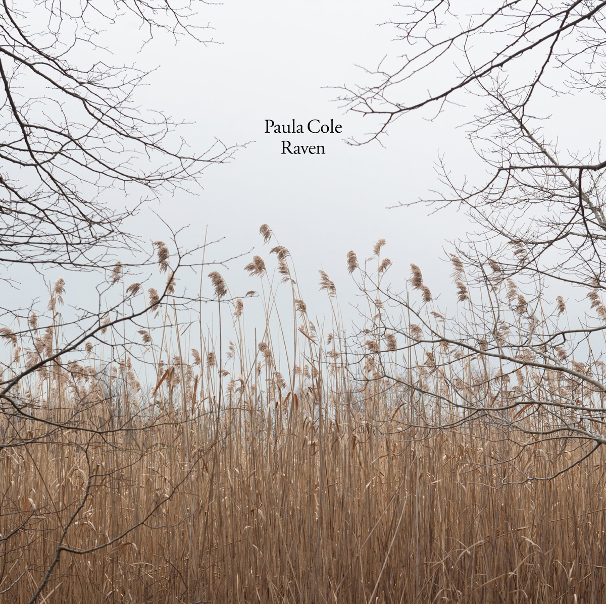 audio review : Raven ( album ) ... Paula Cole
