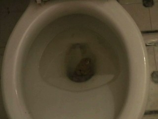 a girl shitting in a toilet