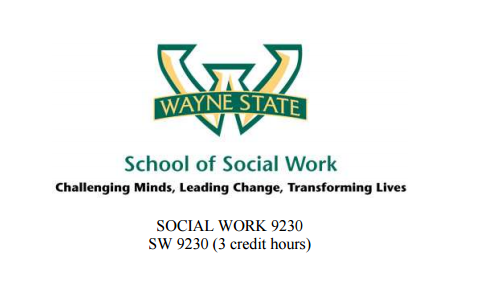 the syllabus for Social Work 9230 at Wayne State University