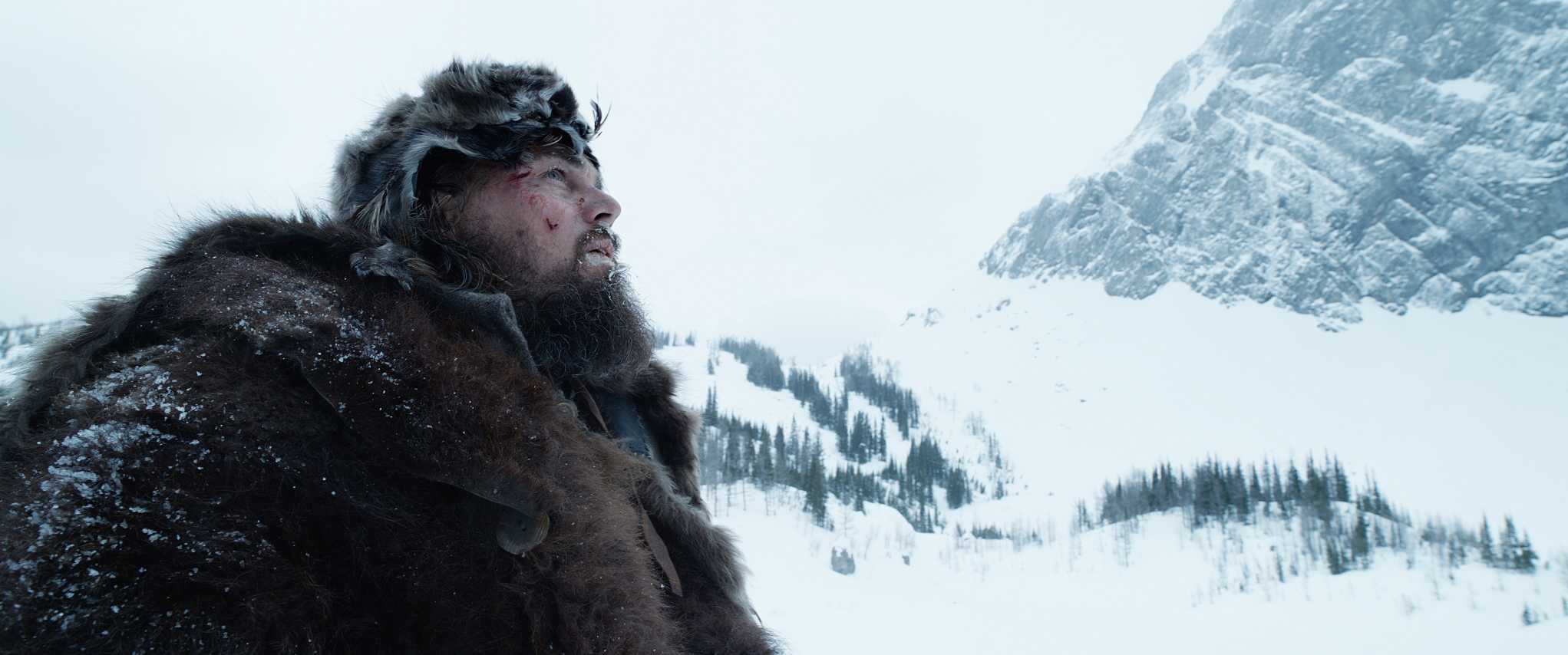video review : The Revenant