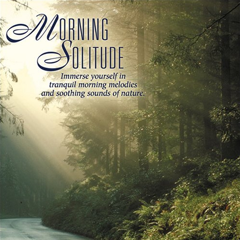 audio review : Morning Solitude ( album ) ... Steven Bergman