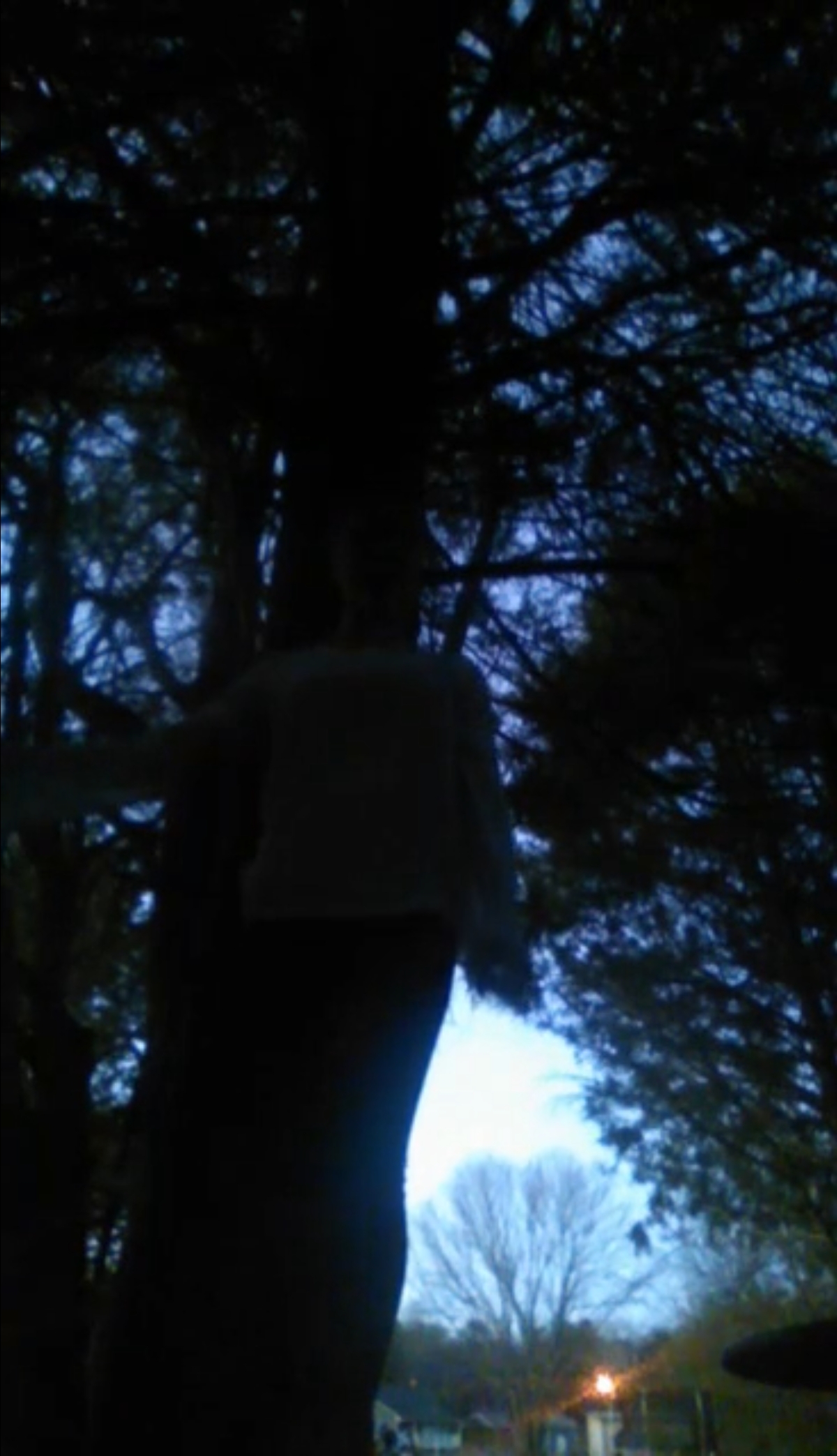Katelyn Davis hanging herself
