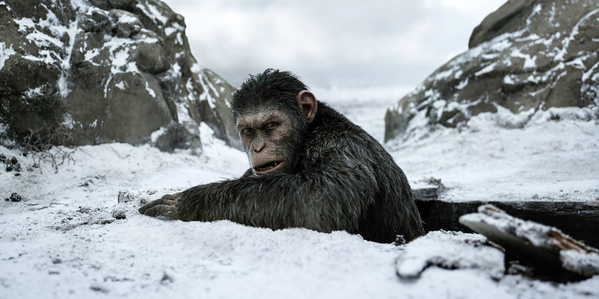 video review : War For The Planet Of The Apes