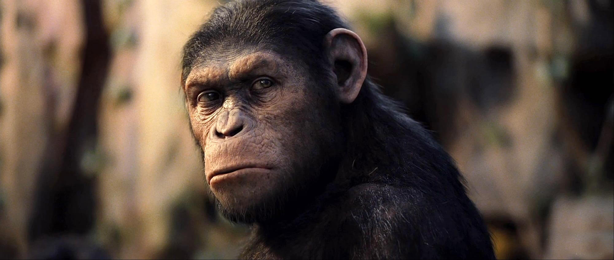 video review : Rise Of The Planet Of The Apes